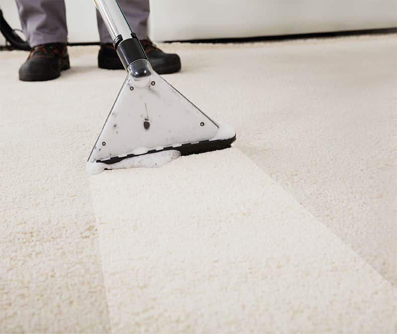 Deep Carpet and Upholstery Cleaning Service